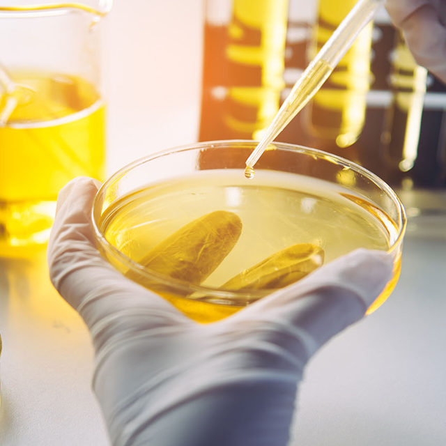 Oil Testing Lab in Egypt